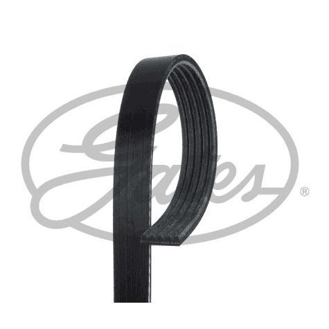 GATES KAYIŞ - 5PK493 (03C145933A)