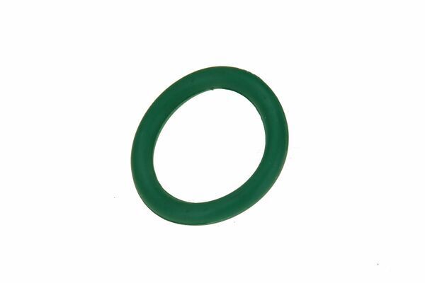 ORİJİNAL O-RİNG (12141748398)