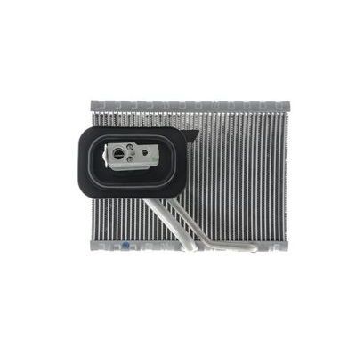 BEHR EVAPORATÖR W447 BM 13- (0008304801)