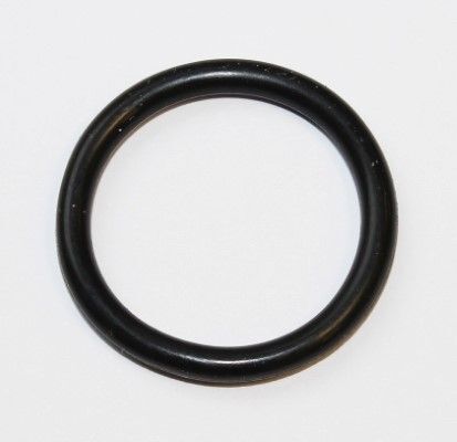 ELRING O-RİNG M272/M642 (A0139972345)