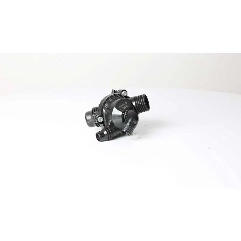 ERA TERMOSTAT N52N/N54-E70/E71 (11537550172)