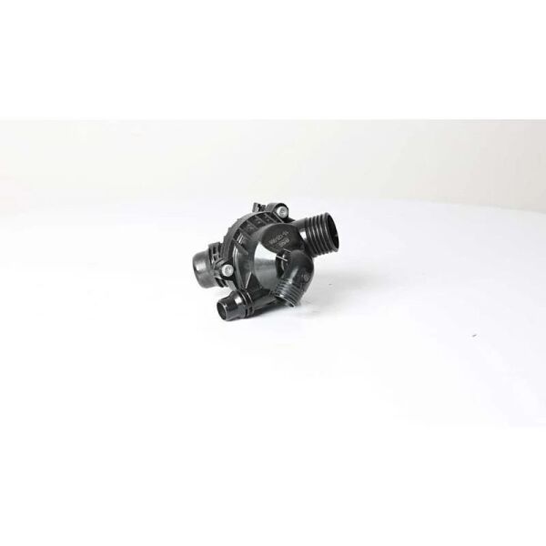 ERA TERMOSTAT N52N/N54-E70/E71 (11537550172)