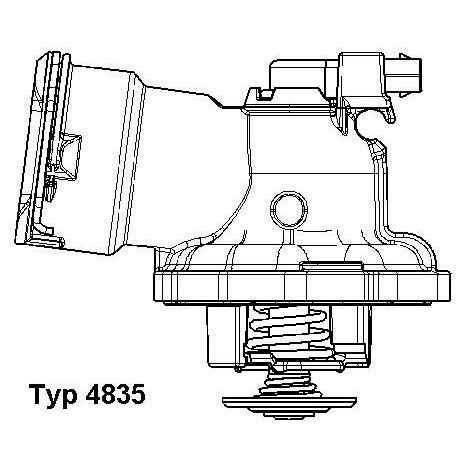 WAHLER TERMOSTAT (A6422002115)