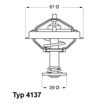 WAHLER TERMOSTAT (A1162000315)