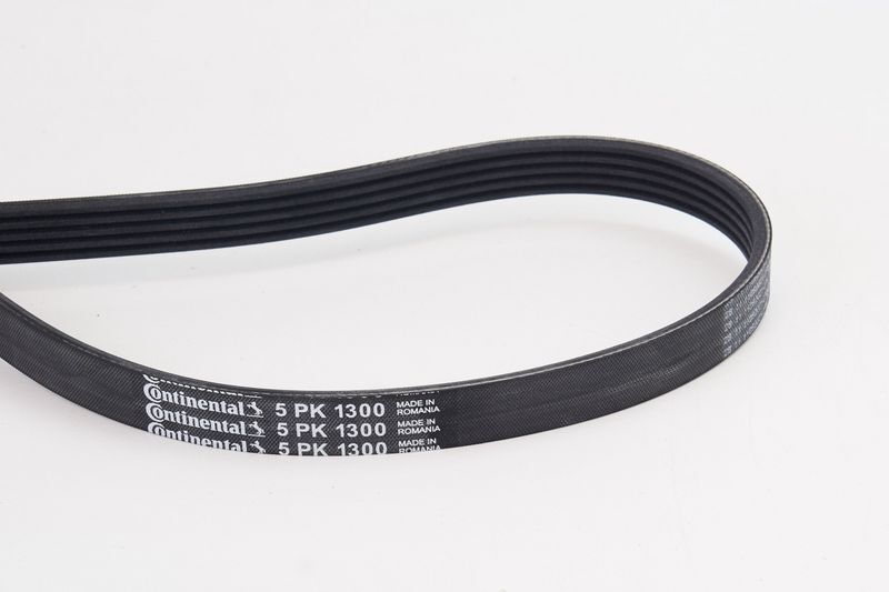 CONTINENTAL KAYIŞ ŞARZ PASSAT 1.8/1.8T (06B903137)