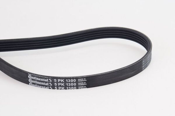 CONTINENTAL KAYIŞ ŞARZ PASSAT 1.8/1.8T (06B903137)