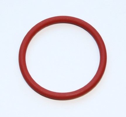 ELRING O-RİNG (A0179972148)