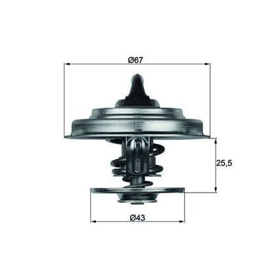 BEHR THERMO TERMOSTAT (A0022037275)