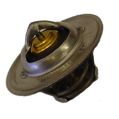 WAHLER TERMOSTAT POLO (032121110F)