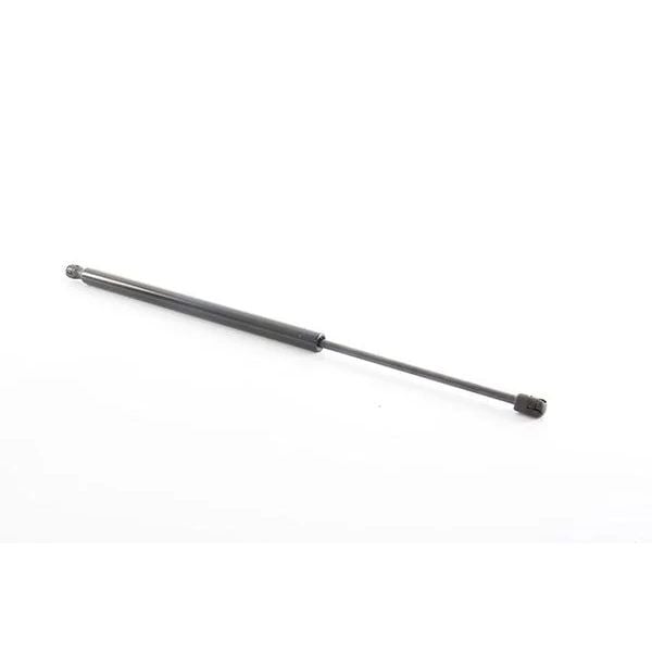 SWAG EKSANTRİK ZİNCİR GERGİSİ M266 (A2660500211)
