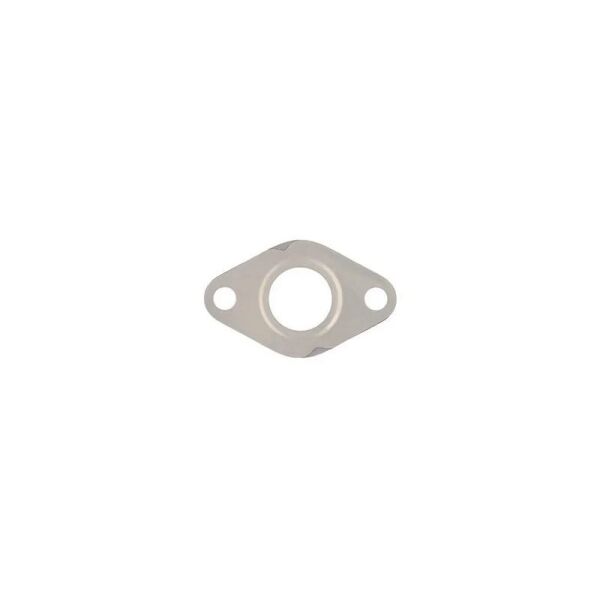 ELRING EGR CONTASI BORA/CADDY/GOLF (038131547A)