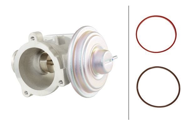 HELLA EGR VALFİ M47N/M57N (11717804382)