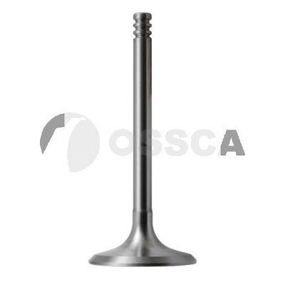 FEBI YAĞ POMPA ZİNCİRİ (A0039977494)