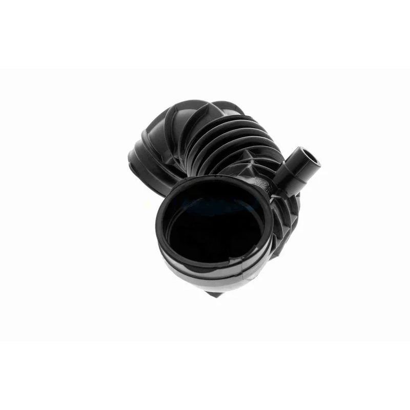 RAPRO HAVA FİLTRE KÖRÜĞÜ R50/R52/R53 (13721477839)
