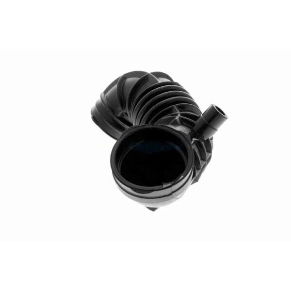 RAPRO HAVA FİLTRE KÖRÜĞÜ R50/R52/R53 (13721477839)