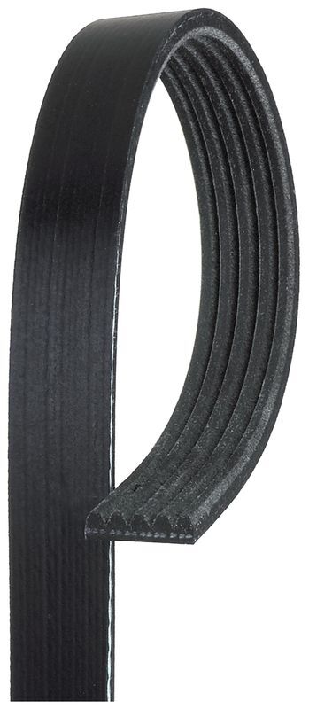 GATES V KAYIŞI W177/W247 (A2829930296)
