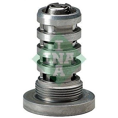 INA EKSANTRİK GERGİ A4/A5 TFSI (06H109257C)