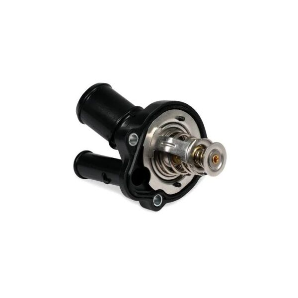 RAPRO PİPO HORTUM. M601-602-603. W124-201. (A6010160381)