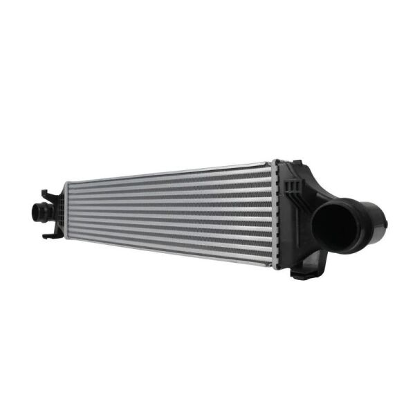 HELLA TERMAL İNTERKOL RADYATÖRÜ W176/W246 (A2465000900)