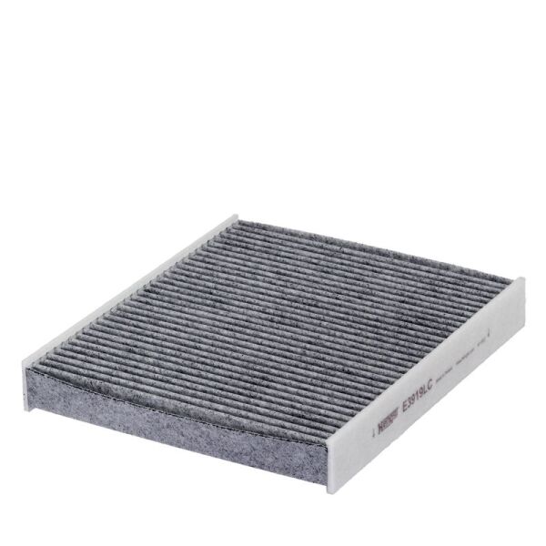 HENGST POLEN FİLTRESİ (6R0819653)