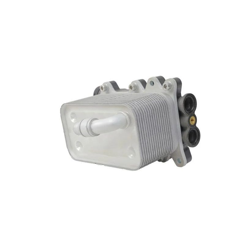HELLA TERMAL YAĞ SOĞUTUCU (KÜTÜKLÜ) E60/E65/E66/E83 M47N (17217803830)