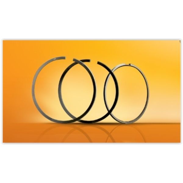 GOETZE SEGMAN. M601-602-603. 87.50. 2X2X3.