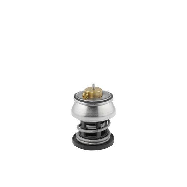 WAHLER TERMOSTAT F10/F20/F22/F45 (11518588945)