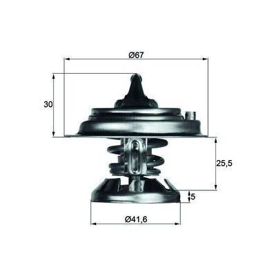 BEHR THERMO TERMOSTAT 75'C 601/602/603/605/606 (A6012000215)