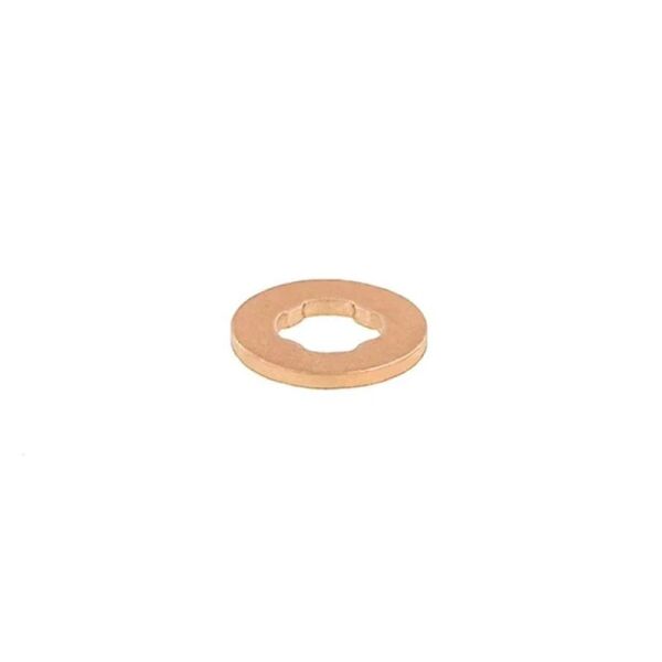 ELRING ENJEKTÖR PULU N47/M57/N57/M47 (13532247156)