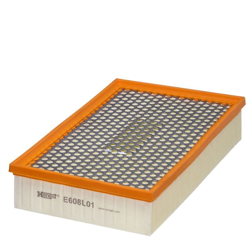HENGST FİLTRE (13717514832)