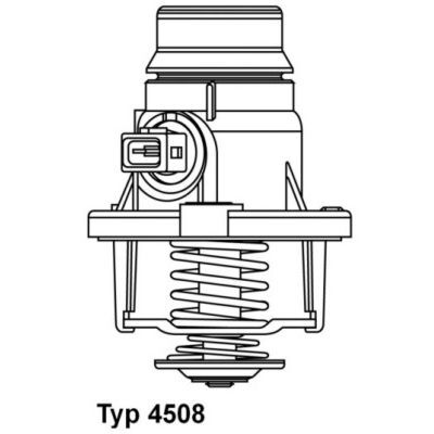 WAHLER TERMOSTAT N62 (11537586885)