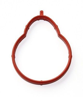 ELRING EMME MANİFOLD CONTASI E36/E46-M43 92>95 (11611437384)