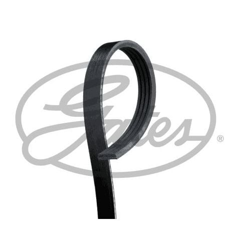 GATES KAYIŞ - 4PK898