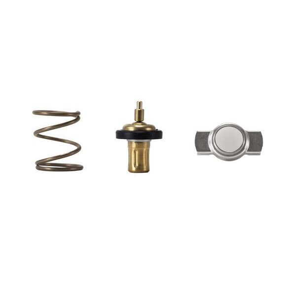 BEHR THERMO TERMOSTAT 117/156/176/246 (A6072000215)