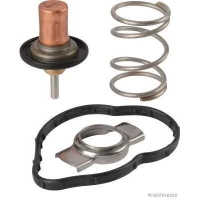 BEHR THERMO TERMOSTAT 117/156/176/246 (A6072000215)