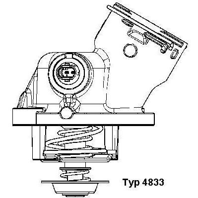 WAHLER TERMOSTAT (A2732000215)