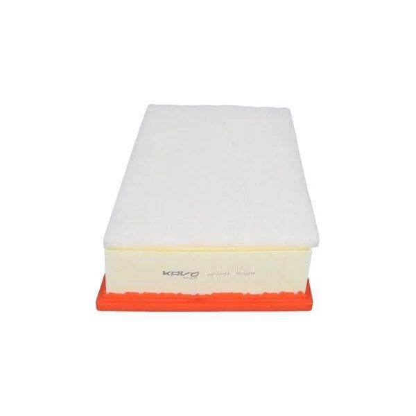 FILTRON FİLTRE (165468296R)