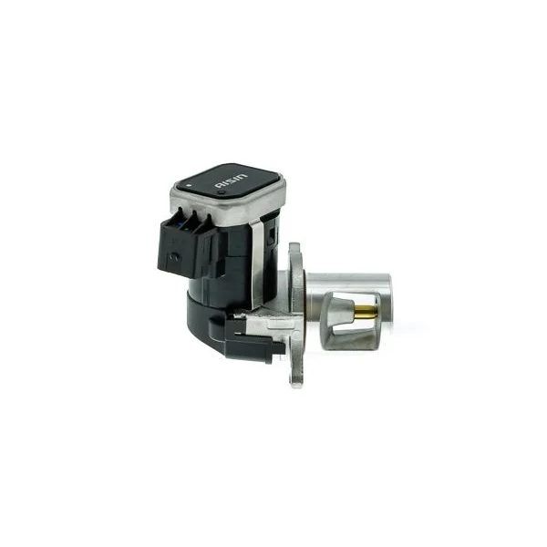 WAHLER EGR VALFI (A6421400860)