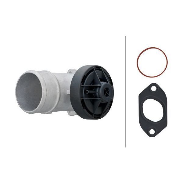 HELLA EGR VALFİ 668 (A6680900454)